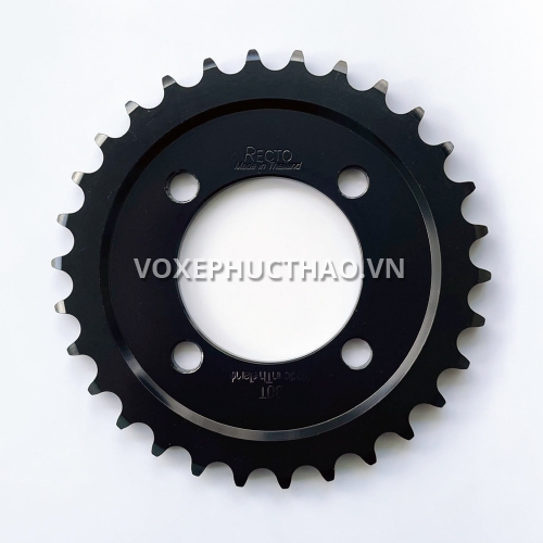 DĨA RECTO 30T DREAM / FUTURE 1 / WAVE THÁI 110 / WAVE ALPHA